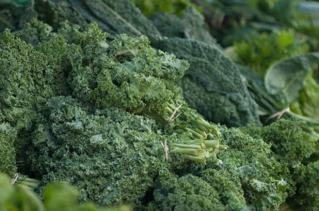 8426173326_da8d6b0976_z