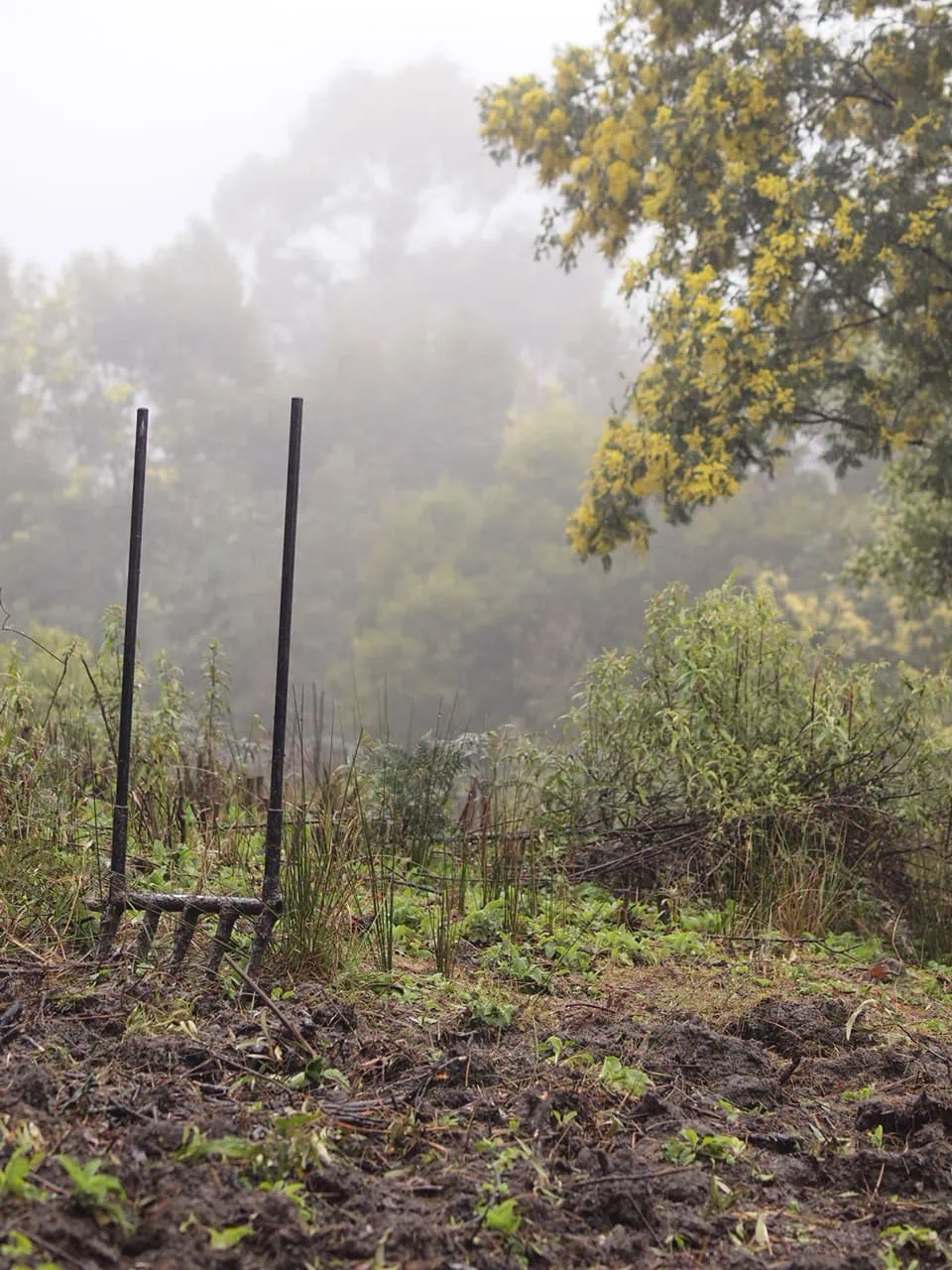 My favourite tools for self sufficient gardening on rough land