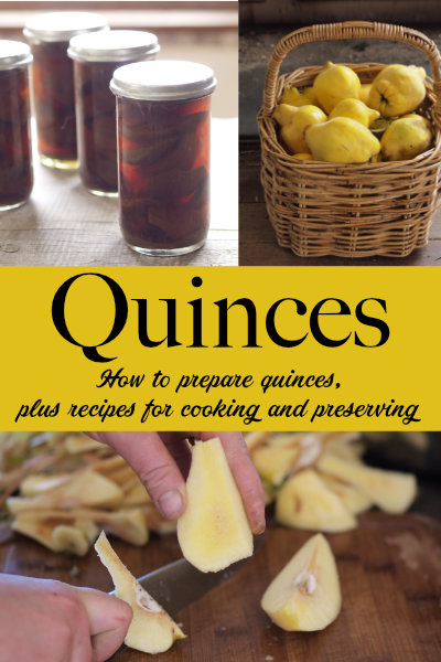 Canned quinces, quinces in basket, preparing quinces