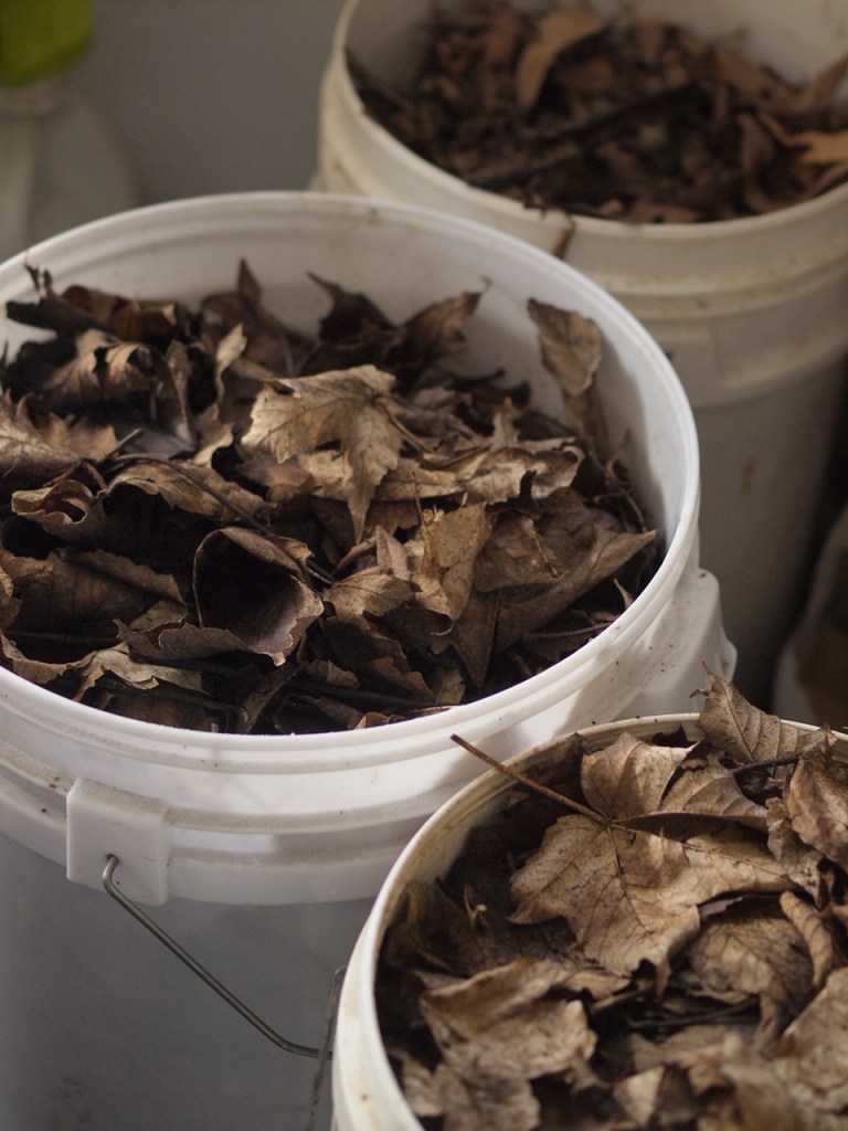 buckets of vegetables packed in leaves