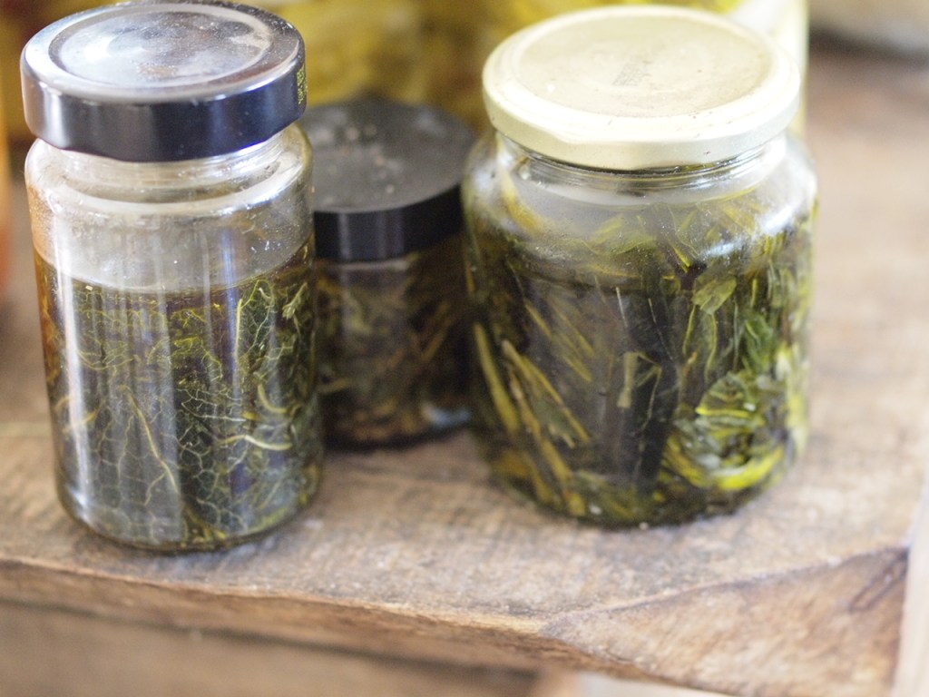 Herbs infusing in oil