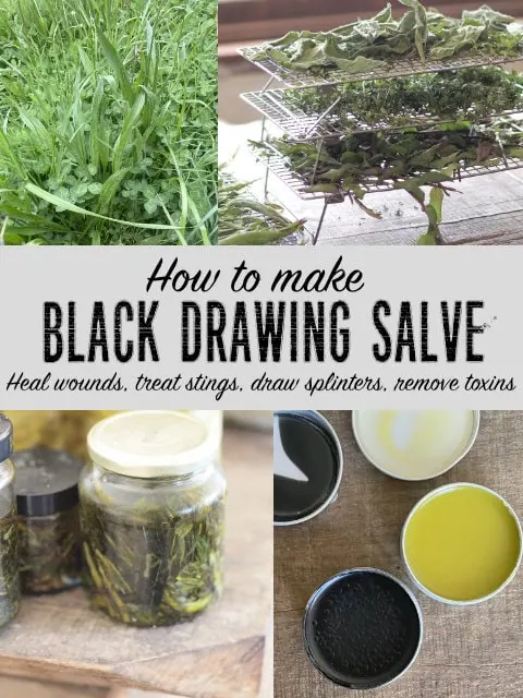How to make black drawing salve