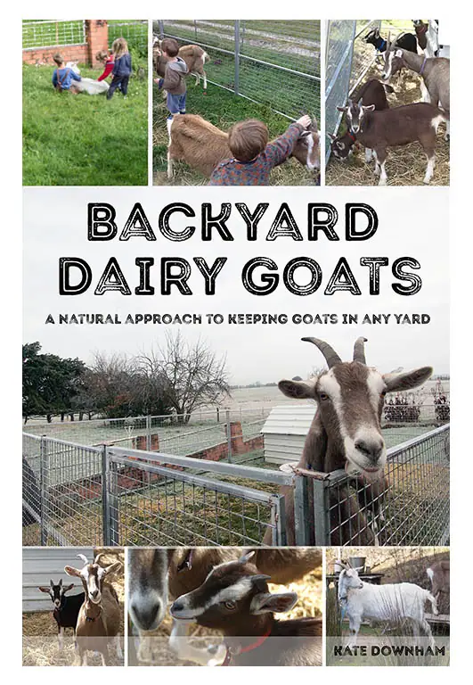 backyard dairy goats homesteading book cover