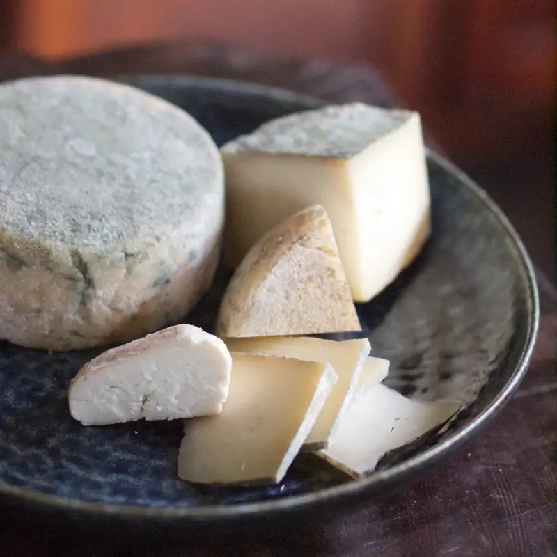 a selection of natural cheesemaking homemade cheeses on a plate
