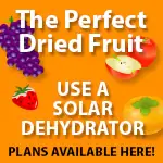 off grid solar dehydrator