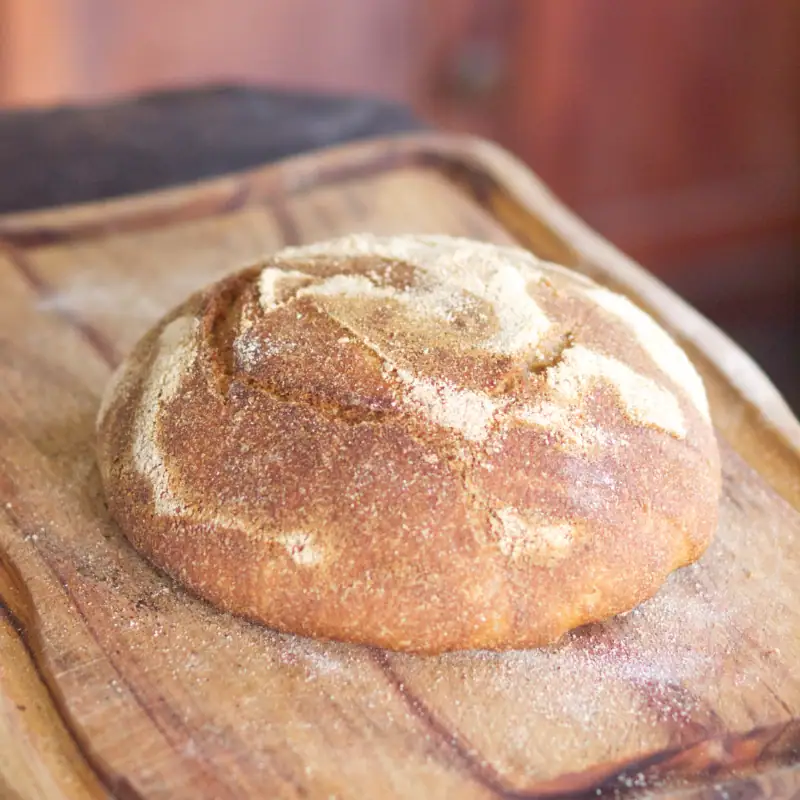 fresh milled whole grain sourdough boule