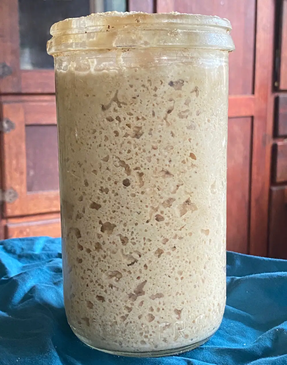 How to Make a Sourdough Starter from Scratch with Fresh Milled Flour (100% Whole Grain)