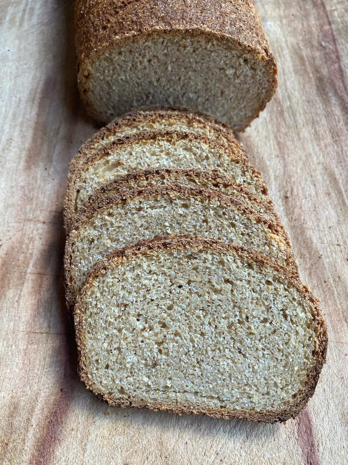 No Knead Sourdough Sandwich Bread from Fresh Milled Flour