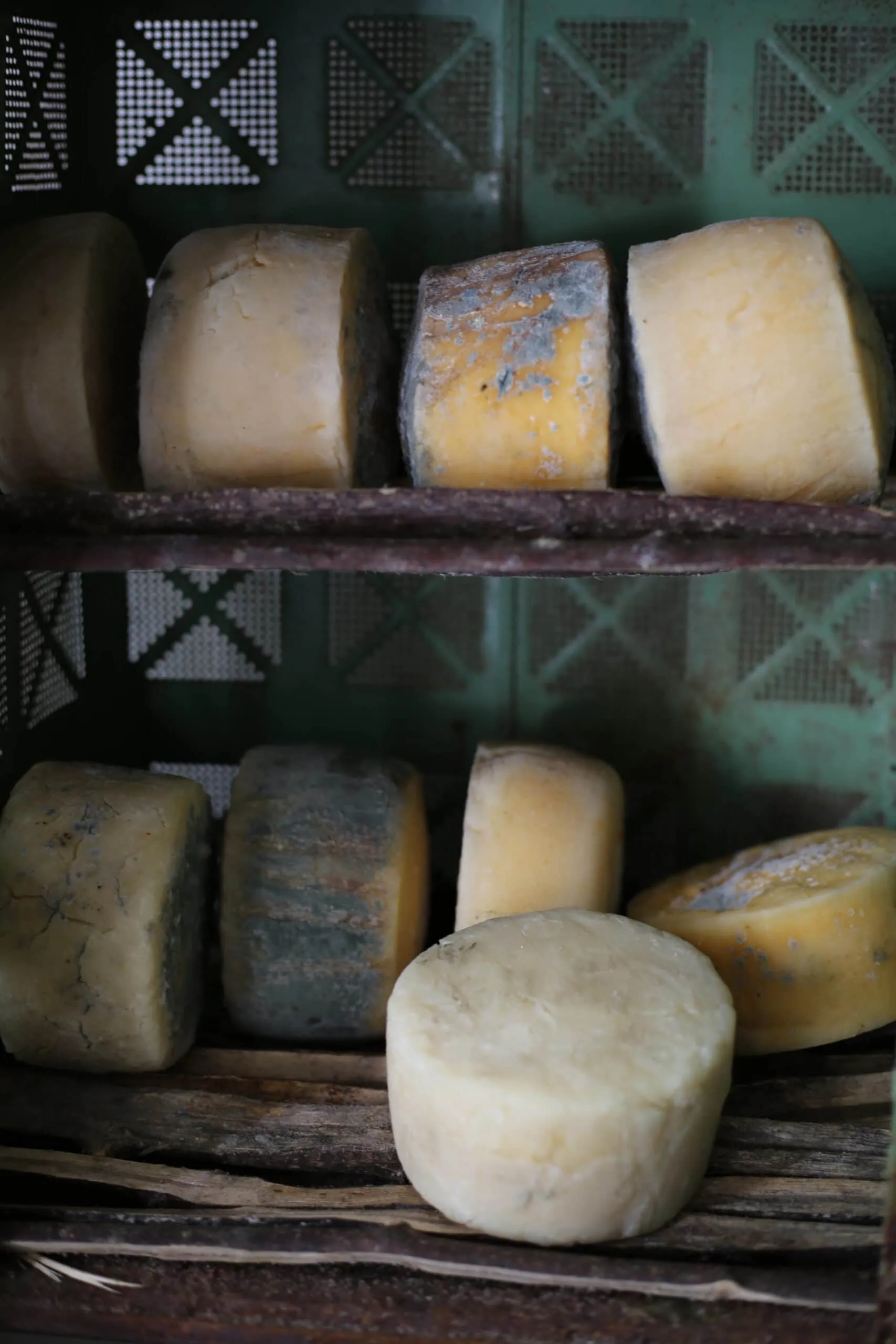 How to Scale Cheesemaking Recipes Up or Down: Rennet, Culture, and More
