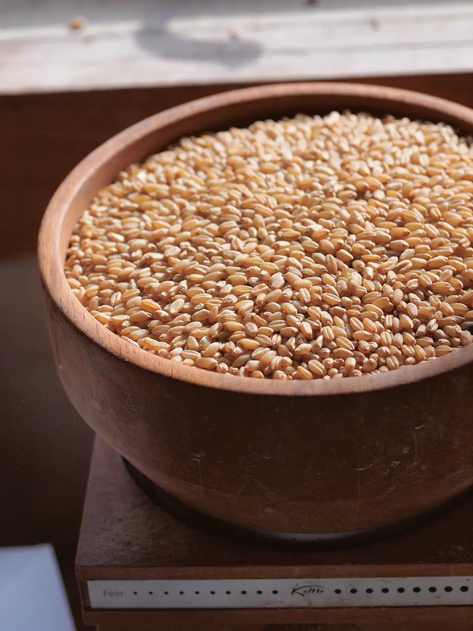 How to choose a home grain mill