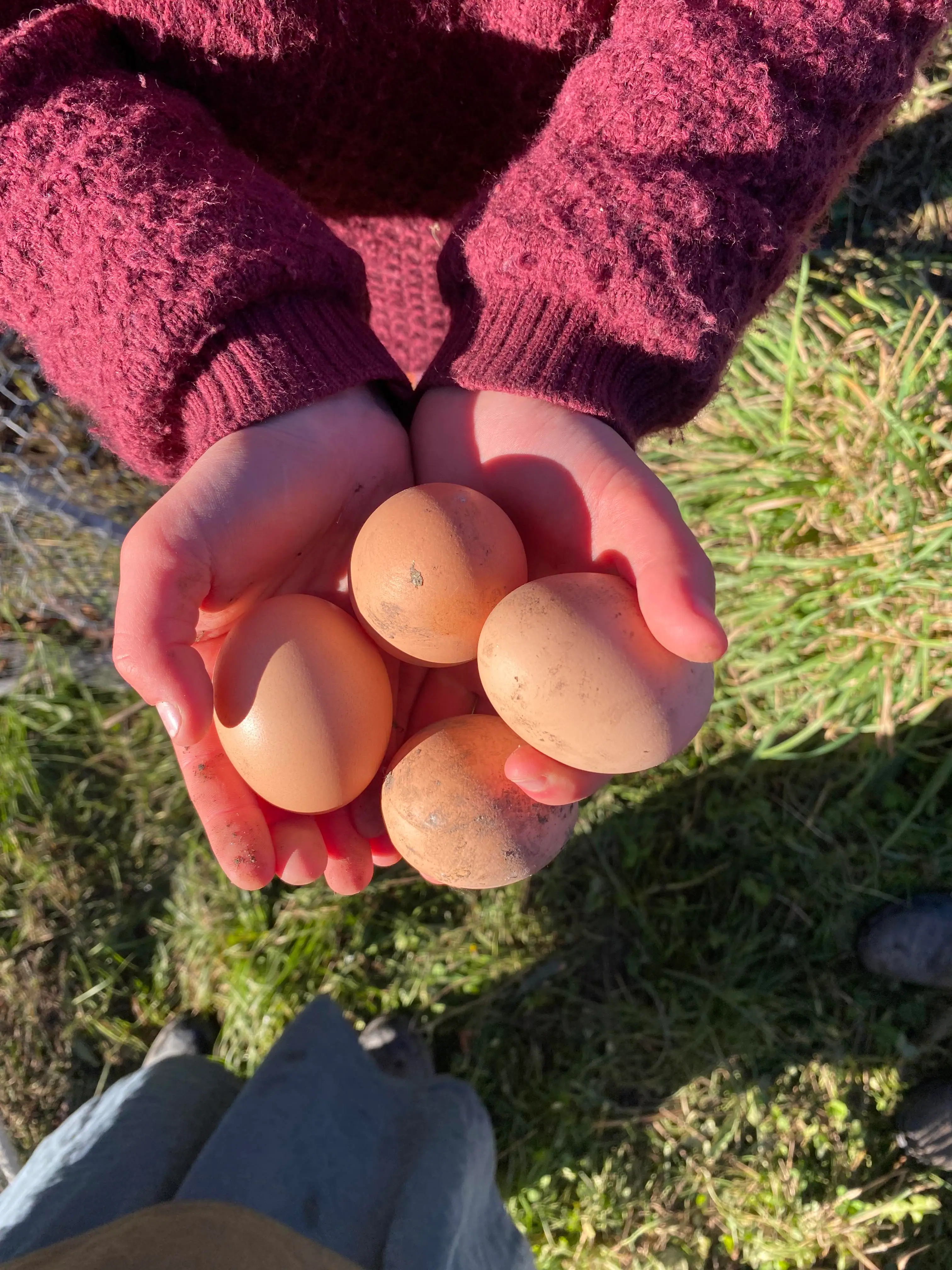 Survive the hungry gap: how to be a locavore when the garden and root cellar aren’t feeding you