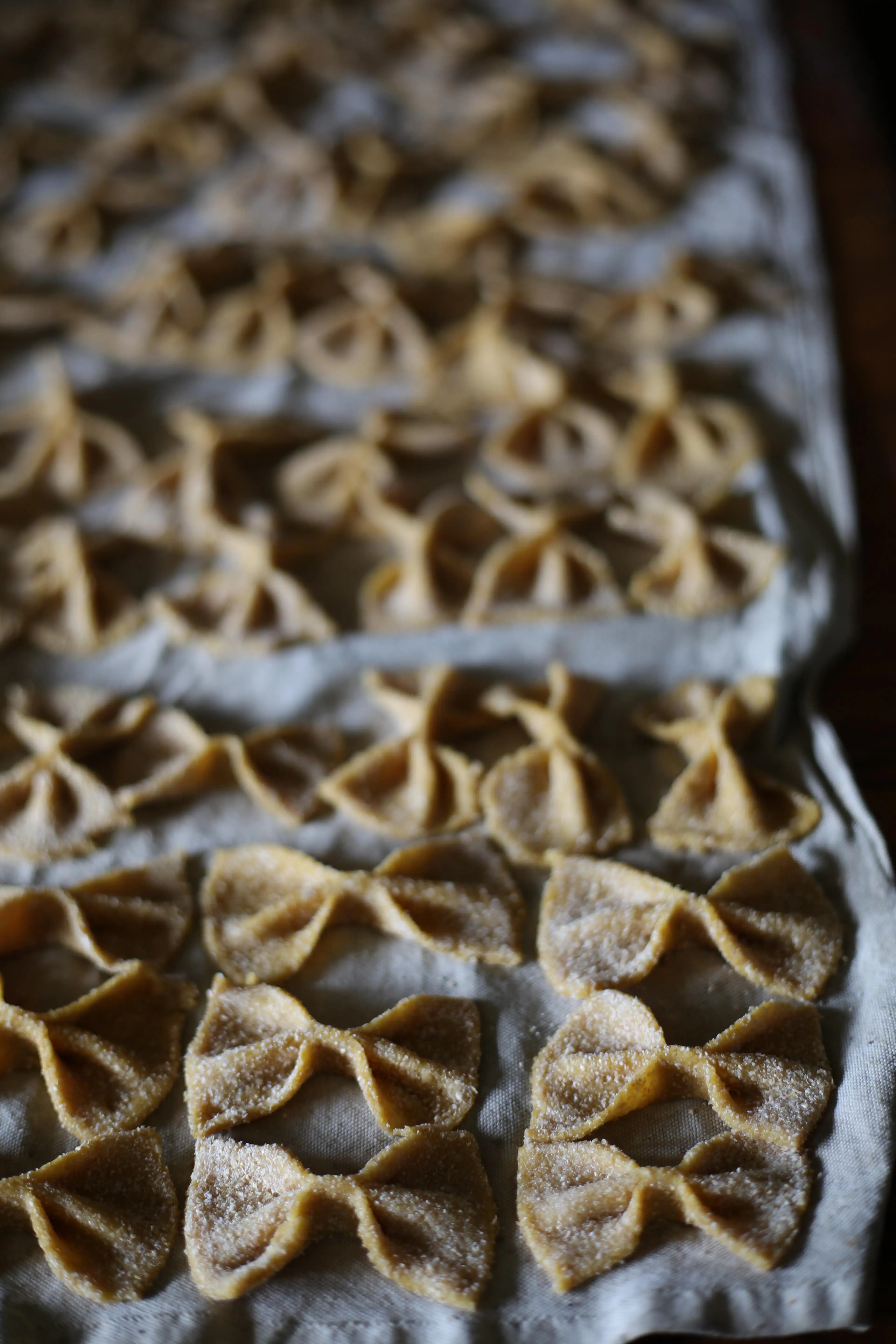 How to make sourdough pasta from fresh milled flour (simple flexible recipe)
